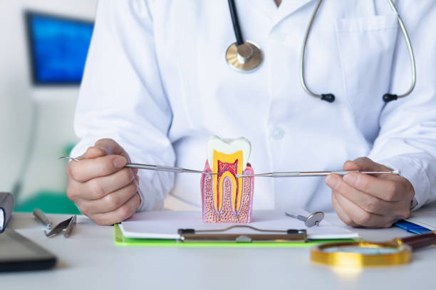Best Emergency Gum Treatment in Tigerville, SC